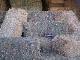 Hay Hay Hay!