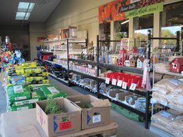 Store Front 3