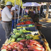 farmers market1