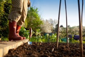 Grab N' Grow Garden Club