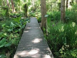 Walk way