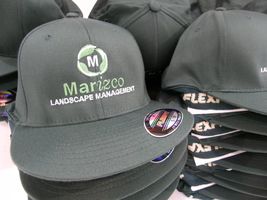 Marizco Landscape