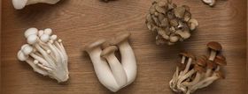 mushrooms