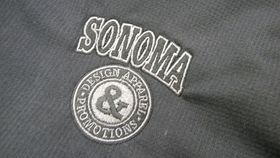 SDAP Logo