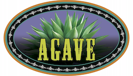 Agave
