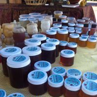 Agricultural Community Events Farmers Market