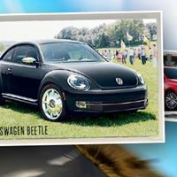 Hansel Volkswagen group