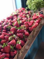Seasonal Strawberries