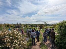 Digging Deep! Soil Health and Climate Resilience at Singing Frogs Farm
