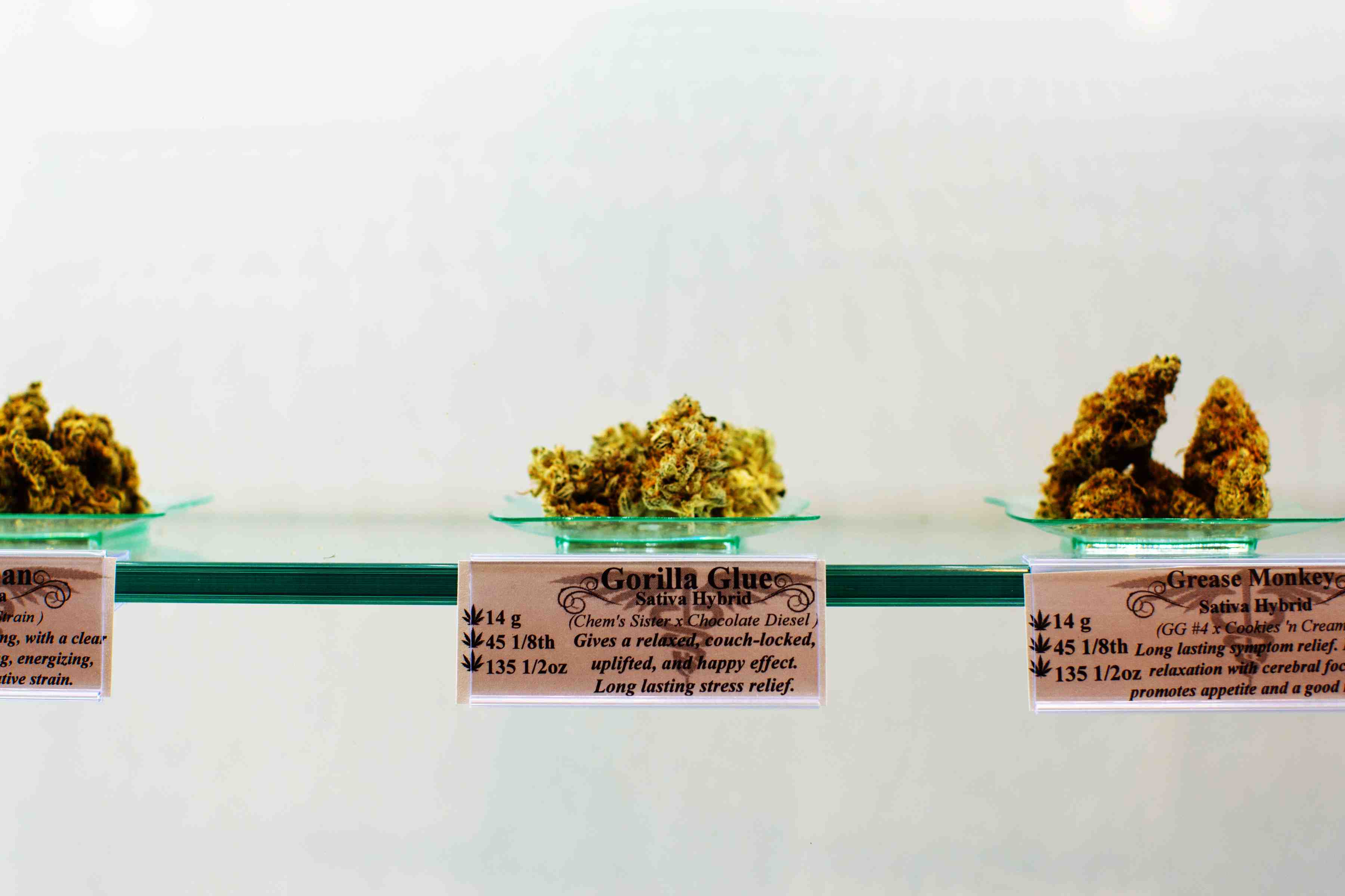 Made Local - Women Grow - 2016 m.woolsey-12