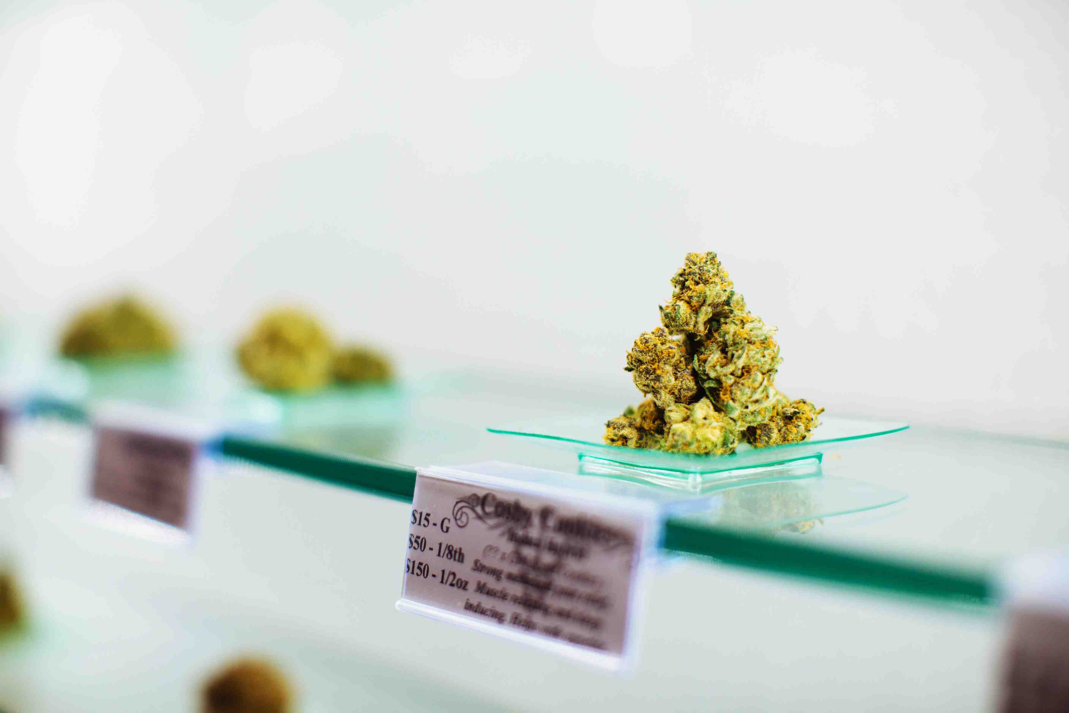 Made Local - Women Grow - 2016 m.woolsey