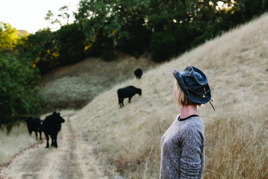 aabettingonherbavores3jpg