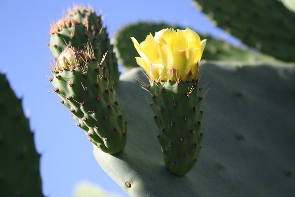 Photo: Leilani Clark