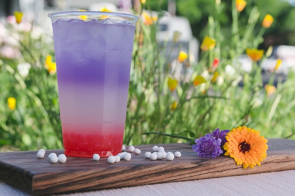 Michelle Feileacan Photography