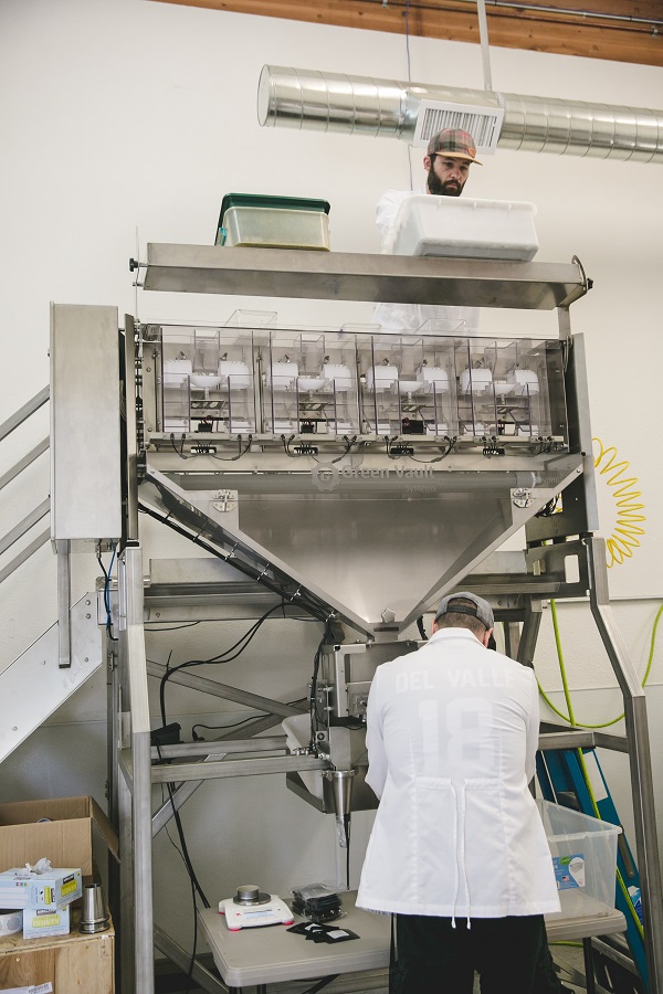 Photo: Michelle Feileacan