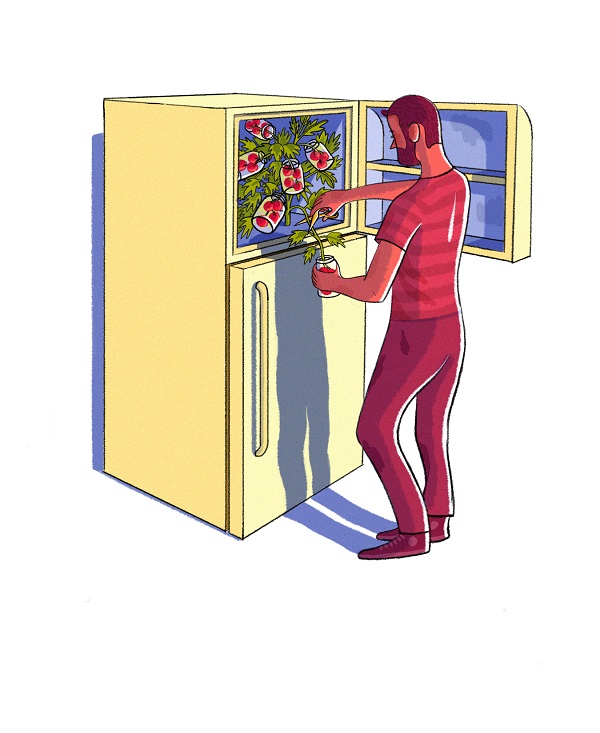 Illustration: Mikayla Butchart