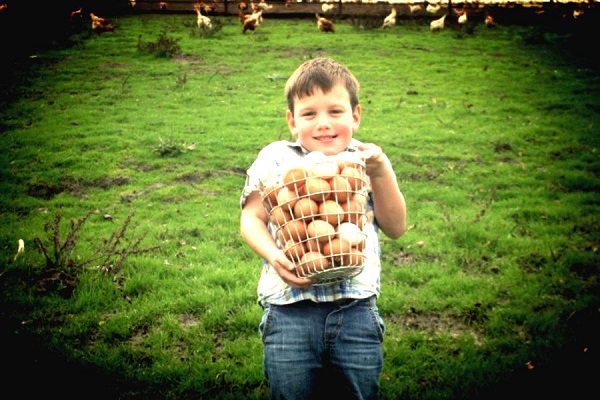 Photography by Karen Pavone