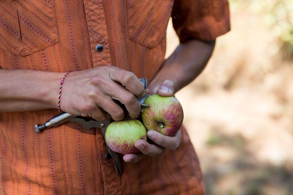 Michelle Feileacan Photography