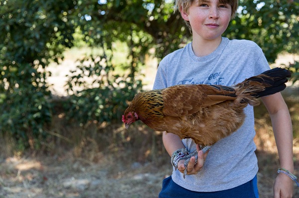 Michelle Feileacan Photography