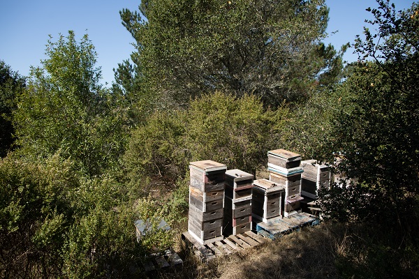 Photography by Paige Green