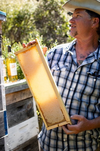 Photography by Paige Green