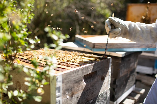 Photography by Paige Green