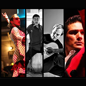 Flamenco-live-10-25