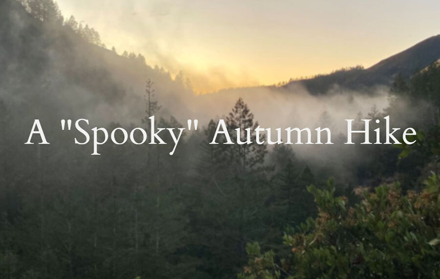 A "Spooky" Autumn Hike at Sugarloaf Ridge Park