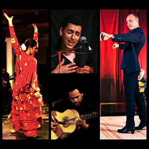 Flamenco Live at the Bug Easy Petaluma