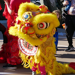 Lunar New Year Festival at at the Children’s Museum of Sonoma