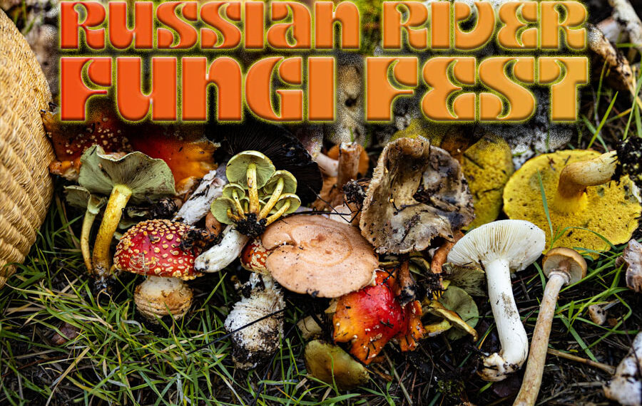 Russian River Fungi Fest