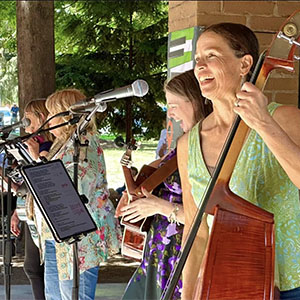 foxes in the henhouse band