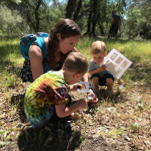 Call of the Wild Festival at Jack London State Park