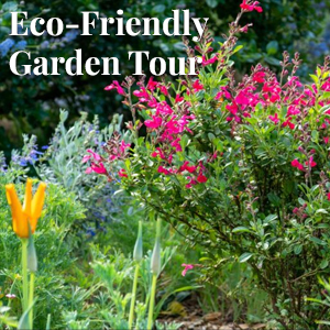 Eco-Friendly Garden Tour