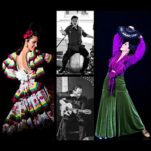 Flamenco Live